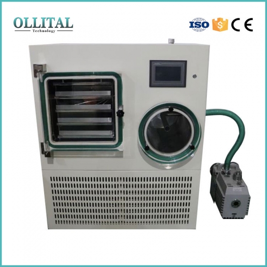 Laboratory In Situ Vertical Electric Freeze Dryer Equipment