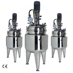 40L 60L 80L Lined Stainless Steel Chemical Reactor