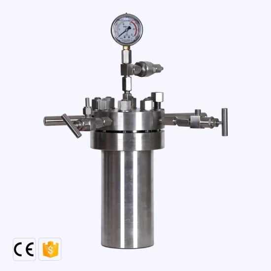 Laboratory Mini Autoclave Simple High Pressure Stirring Reactor