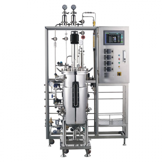 Lab Fermentation Bioreactor For Bacteria Stainless Steel Bioreactor