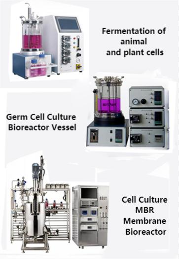 Animal Cell Bioreactor