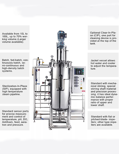 Stainless Steel Fermenter