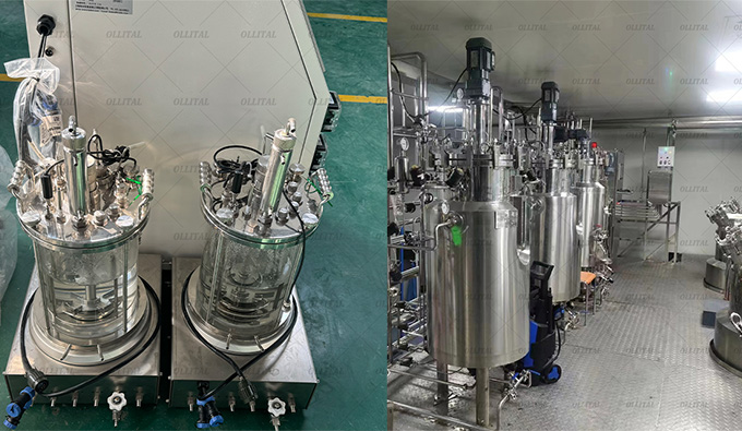 Breaking the boundaries of scientific research: Ollital brand fermenters, escorting innovation
