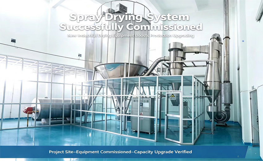 25L Spray Dryer Comparison: Why Gas Heating Models Require More Space Than Electric Systems
