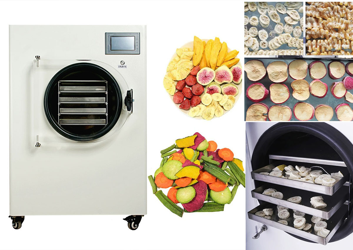 Vacuum Drying Ovens Designed for Precision, Built for Performance