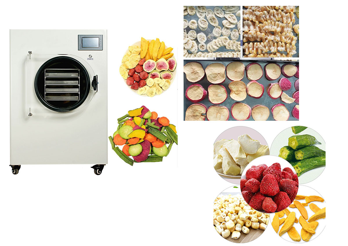Freeze Drying Redefined: Why Modern Manufacturers Are Investing in Advanced Lyophilizers